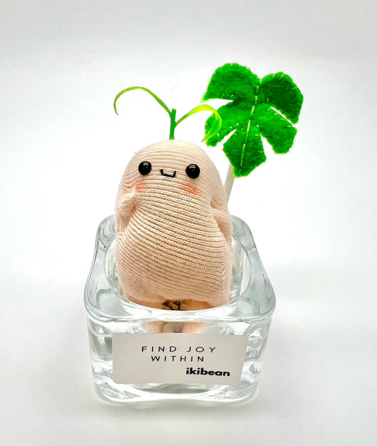 ikibean desk friend kit Raddy